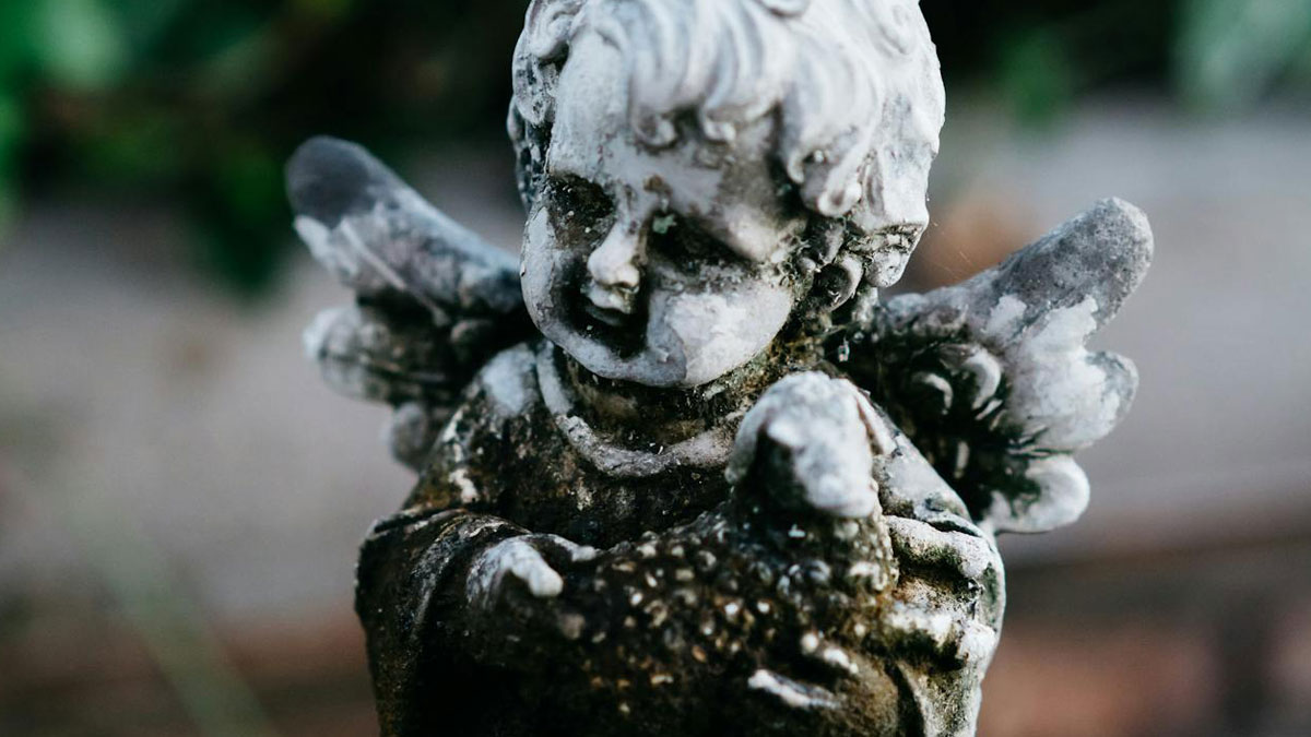 25 surprising findings inside a body shared by doctors